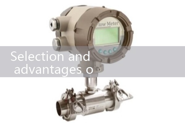 Slurry flowmeter