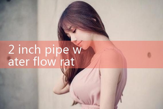 2 inch pipe water flow rate|balo meter