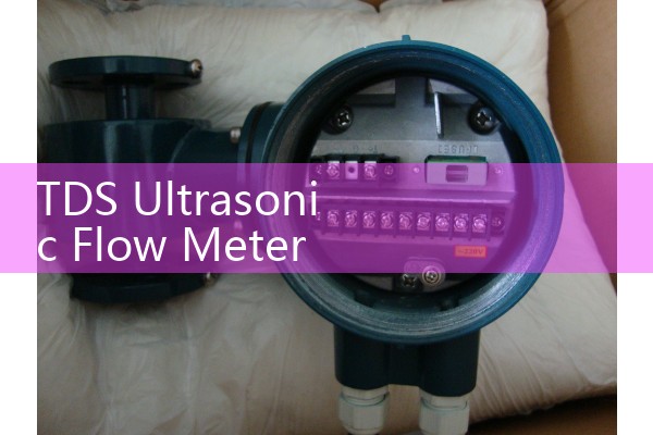 TDS ultrasonic flowmeter