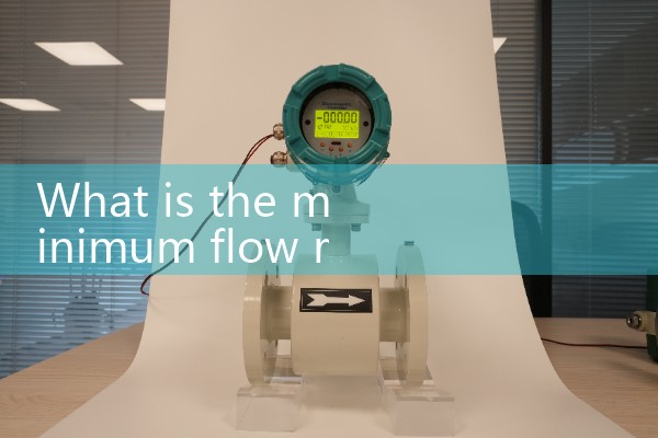 Bronkhorst flowmeter