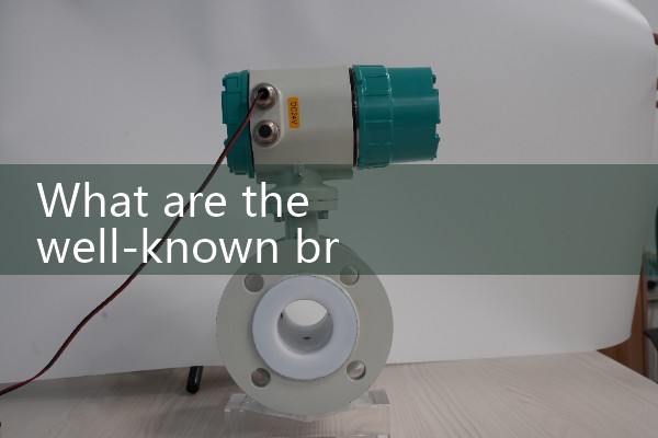Steam intelligent vortex flowmeter