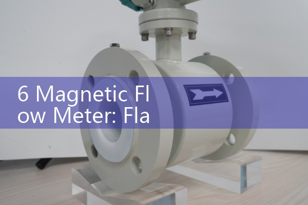 6 Magnetic Flow Meter: Flanged Wastewater Effluent Management Systems