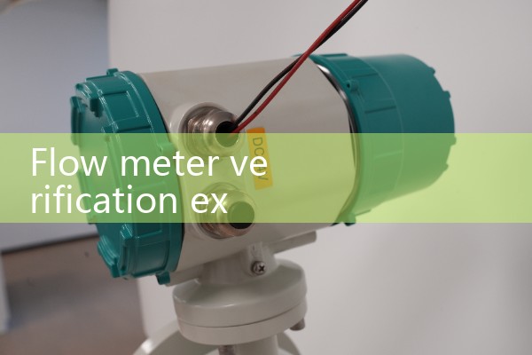 Flow meter verification experiment report