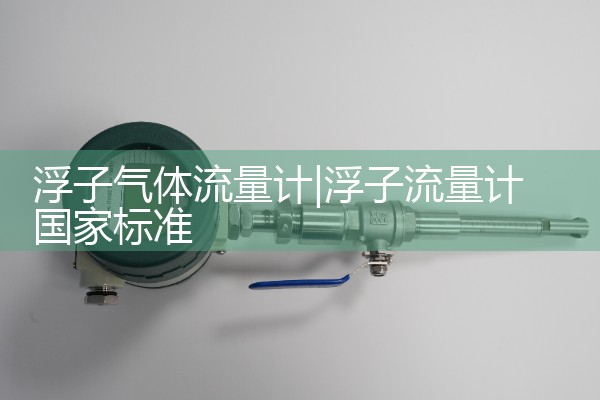 浮子气体流量计