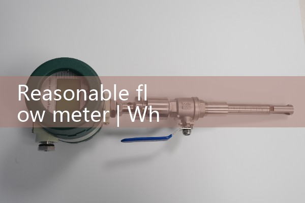 Reasonable flow meter