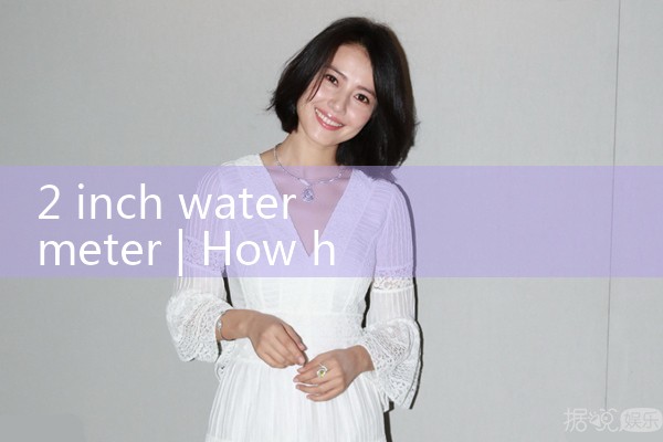 2 inch water meter|rotameter flow meter