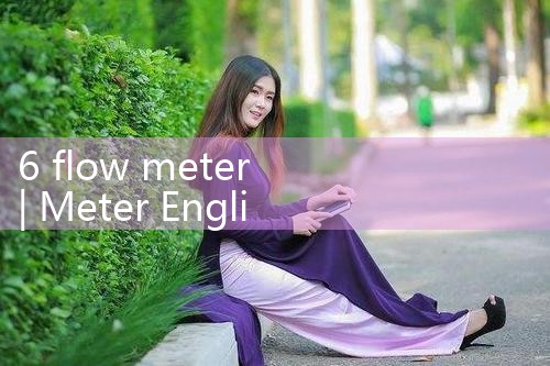 6 flow meter|rotameter flow meter