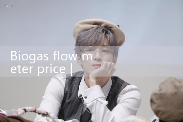 biogas flow meter price|flow meter distributor