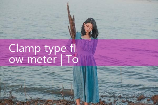clamp type flow meter|thermal flow meter