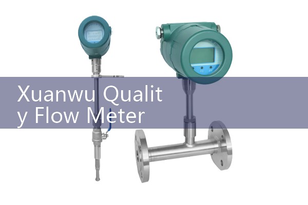 Xuanwu Quality Flow Meter Manufacturer