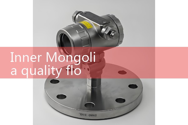 Inner Mongolia quality flowmeter manufacturer quotation