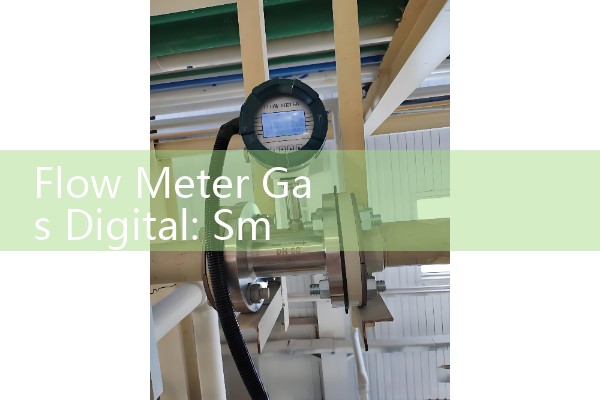 On site vortex flowmeter