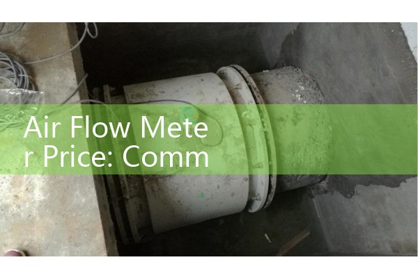 Air Flow Meter Price: Commercial Procurement Costs for Gas Sensors