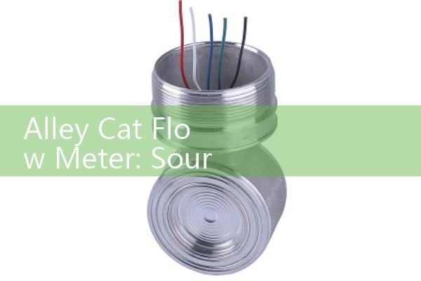 Manufacturer of liquid flowmeter
