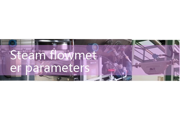 Parameters of steam flowmeter