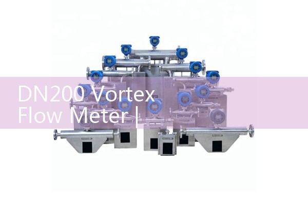 Principle of Xizang mass flowmeter