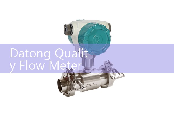 Datong Quality Flow Meter Manufacturer