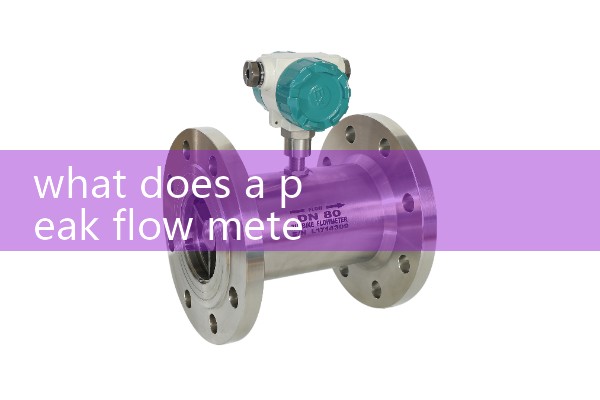 what does a peak flow meter measure|mass flow meter