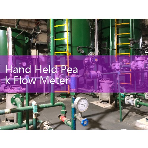 Hand Held Peak Flow Meter Logs: Tracking Daily Respiratory Vital Capacity for Asthma at Home