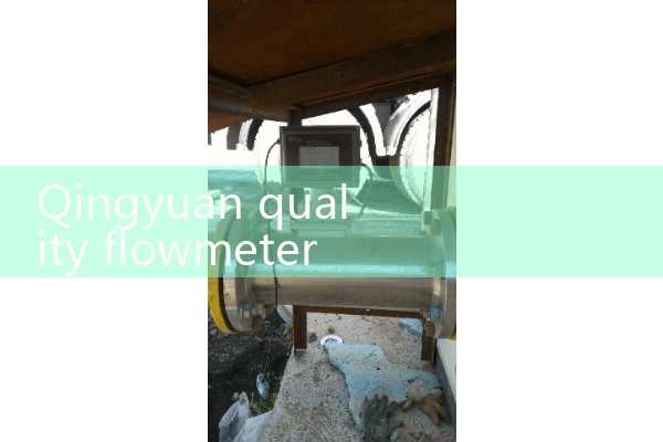 Qingyuan Quality Flow Meter Manufacturer