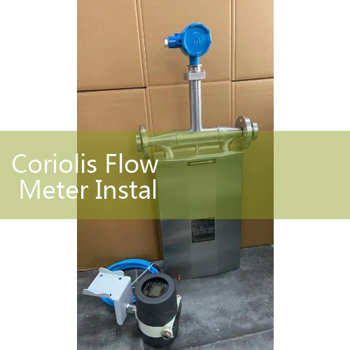 Coriolis Flow Meter Installation Requirements: Straight Piping Sizing Sourcing Guidelines