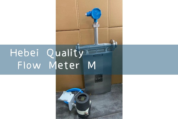 Hebei Quality Flow Meter Manufacturer Direct Sales